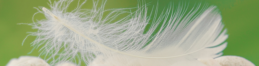 Header Bewegung