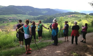 Nordic-Walking.jpg
